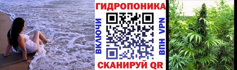 купить   Нижний Ломов  Конопля индика 